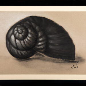 Accueil coquillage au fusain et craie blanche sur papier recyclé